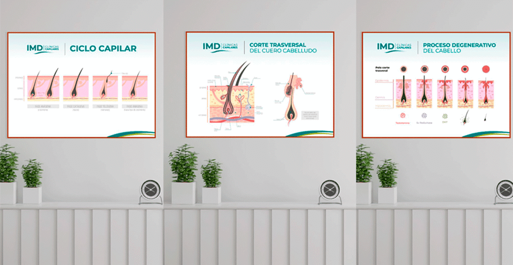 Branding e identificar visual Clinica Capilar IMD - paperleria