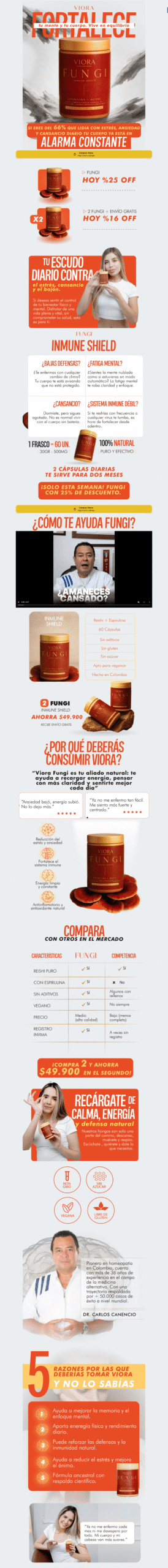 Landing page anterior